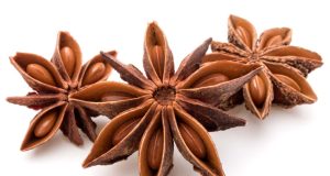 Badiane : Découvrez Ses Nombreux Bienfaits pour la Santé Badiane bienfait