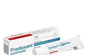 Fradexam : Utilisations, Bénéfices et Précautions à Connaître Fradexam