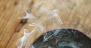 Palo Santo : Un Encens Traditionnel aux Vertus Apaisantes Palo Santo encens