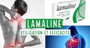 La Lamaline Peut-elle Conduire à une Augmentation de Poids ? Lamaline grossir