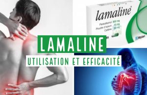 La Lamaline Peut-elle Conduire à une Augmentation de Poids ? Lamaline grossir