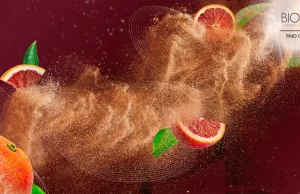 Où Trouver du Morosil ? Guide d’Achat et Conseils Utiles Où Trouver du Morosil