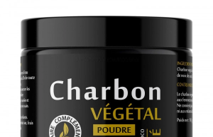 Charbon Végétal Activé : Bienfaits et Utilisations au Quotidien Charbon Végétal Activé