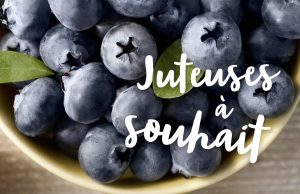 Myrtille : Bienfaits, Utilisations et Contre-Indications Myrtille Bienfaits