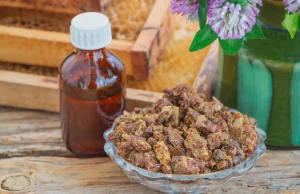 Propolis : Bienfaits et Utilisations de cet Élixir Naturel Propolis bienfait