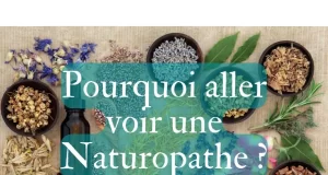 6 Conseils Essentiels Avant de Consulter un Naturopathe Consulter un Naturopathe