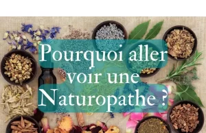 6 Conseils Essentiels Avant de Consulter un Naturopathe Consulter un Naturopathe