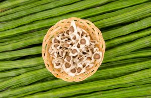 Graines de Moringa : Bienfaits et Utilisations pour la Santé Graines de Moringa