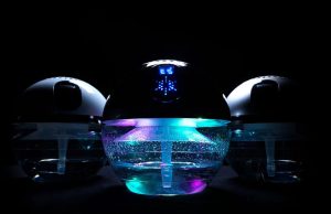 Prowin air bowl : pourquoi l’adopter pour un air plus sain Prowin air bowl avis