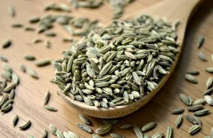 Les Bienfaits des Graines de Fenouil : Découvrez Leurs Vertus Bienfaits Graines Fenouil