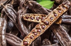 Tout Savoir sur la Caroube : Propriétés et Bienfaits Caroube - Propriétés et Bienfaits