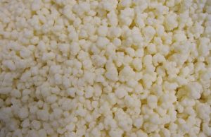 Grains de kéfir : guide pratique pour une conservation optimale grains de kéfir conservation