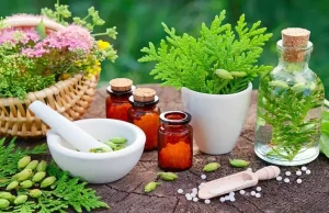 Julienaturame.fr : la naturopathe qui réinvente votre bien-être dans les Landes naturopathe landes julienaturame.fr