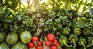 Quels sont les légumes qui commencent par la lettre J ? legume en j