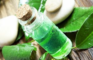 Huile essentielle de tea tree : y a-t-il un danger à l’utiliser sur la peau ? huile-essentielle-tea-tree-danger