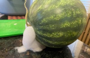 Pourquoi ma pastèque mousse ? Explications et précautions utiles pasteque-qui-mousse