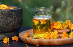 Huile de calendula : usages, vertus et précautions à connaître huile-de-calendula