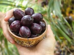 Wassai : avis sur la qualité et l’efficacité réelle des produits wassai