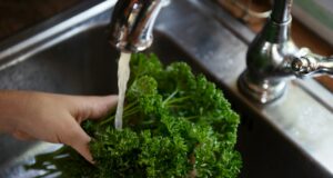 Bienfait persil : pourquoi cette plante est si bénéfique pour le corps bienfait-persil (2)