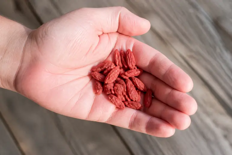 Poignée de baies de goji séchées présentée dans le creux de la main pour mesurer la posologie quotidienne.