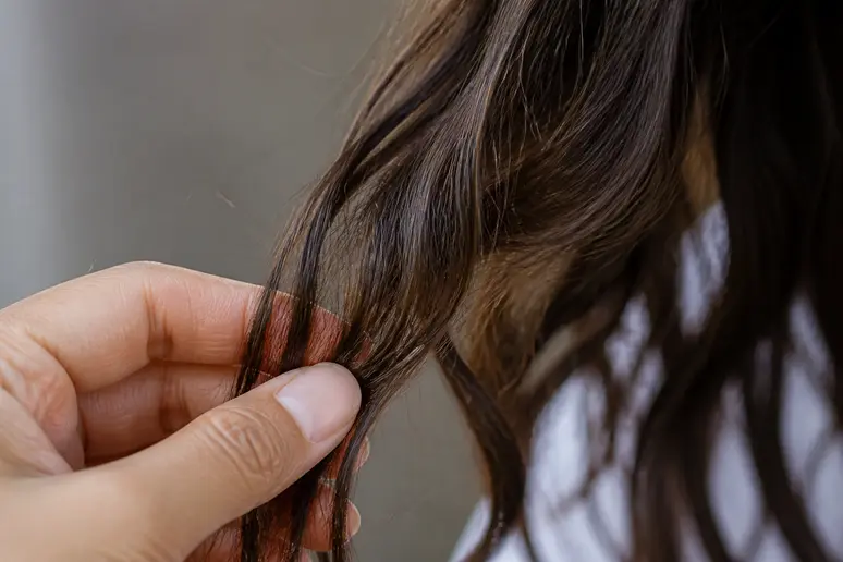 Gros plan sur une main tenant des mèches de cheveux pour observer leur type de boucle et leur porosité.