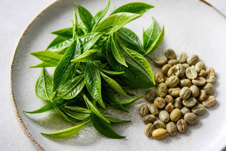Feuilles de thé vert et grains de café utilisés dans la composition des gélules